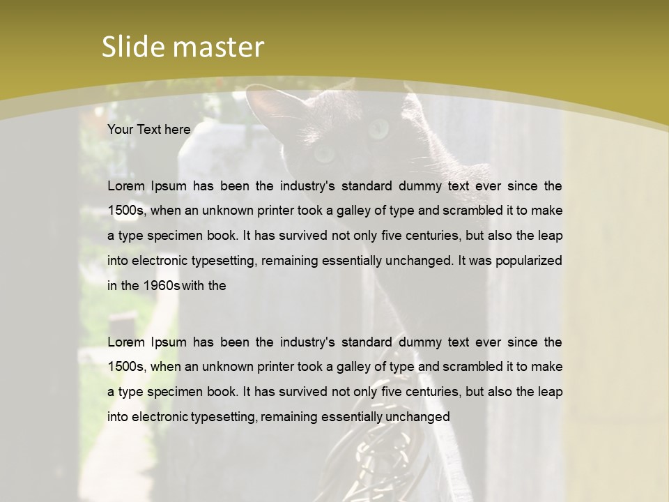 House Floral Cat PowerPoint Template