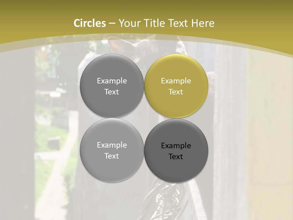 House Floral Cat PowerPoint Template