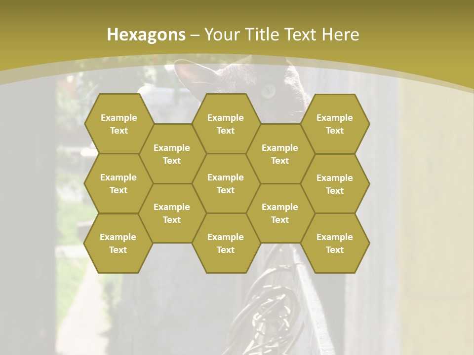 House Floral Cat PowerPoint Template