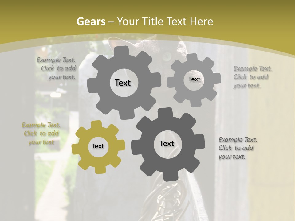 House Floral Cat PowerPoint Template