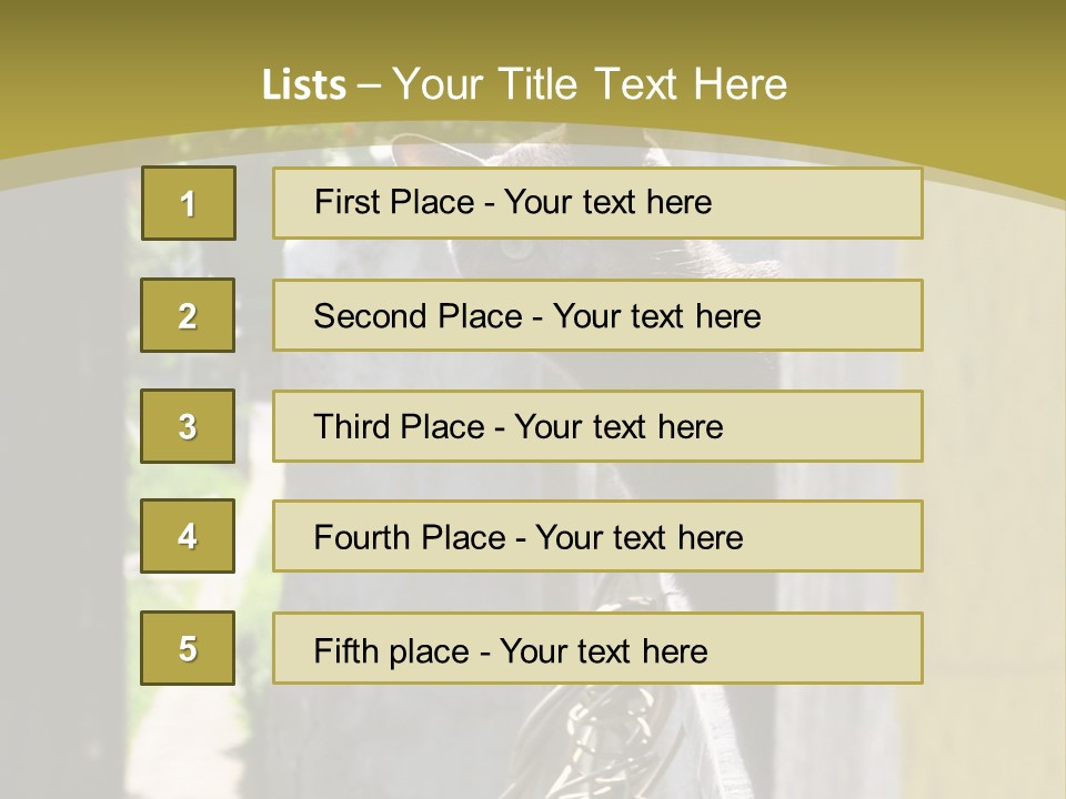 House Floral Cat PowerPoint Template