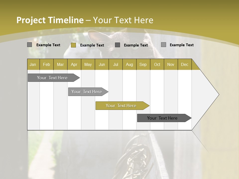 House Floral Cat PowerPoint Template