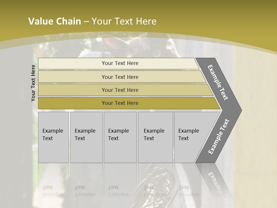 House Floral Cat PowerPoint Template