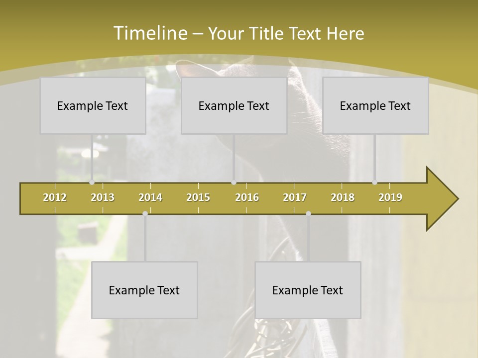 House Floral Cat PowerPoint Template