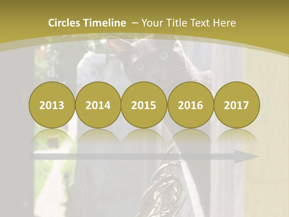 House Floral Cat PowerPoint Template