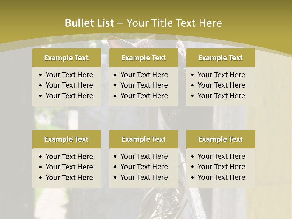 House Floral Cat PowerPoint Template