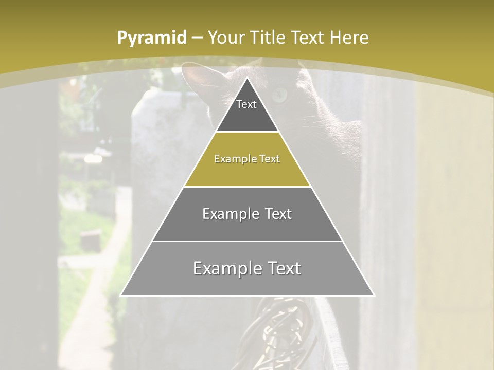 House Floral Cat PowerPoint Template