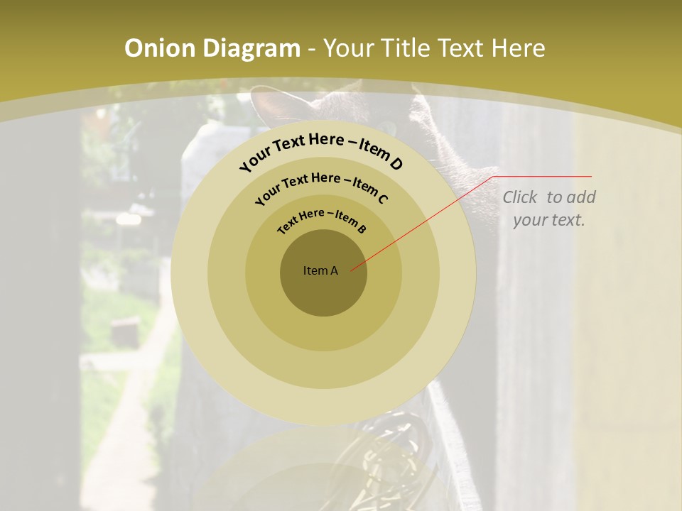 House Floral Cat PowerPoint Template