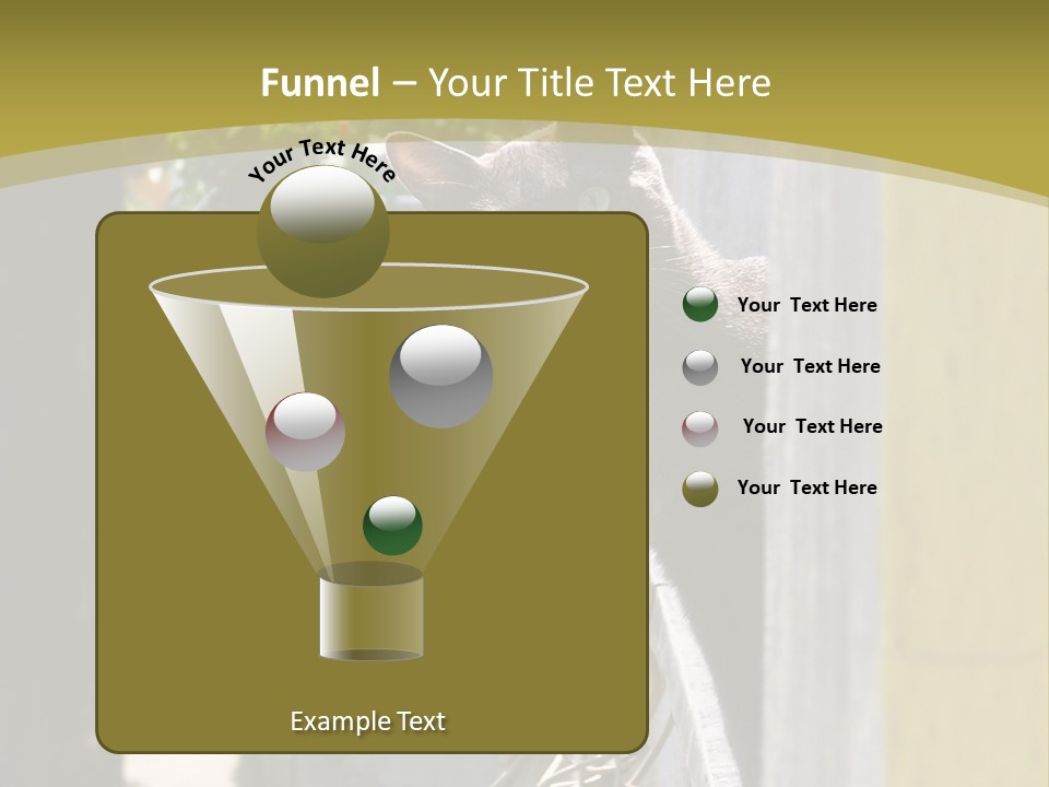 House Floral Cat PowerPoint Template