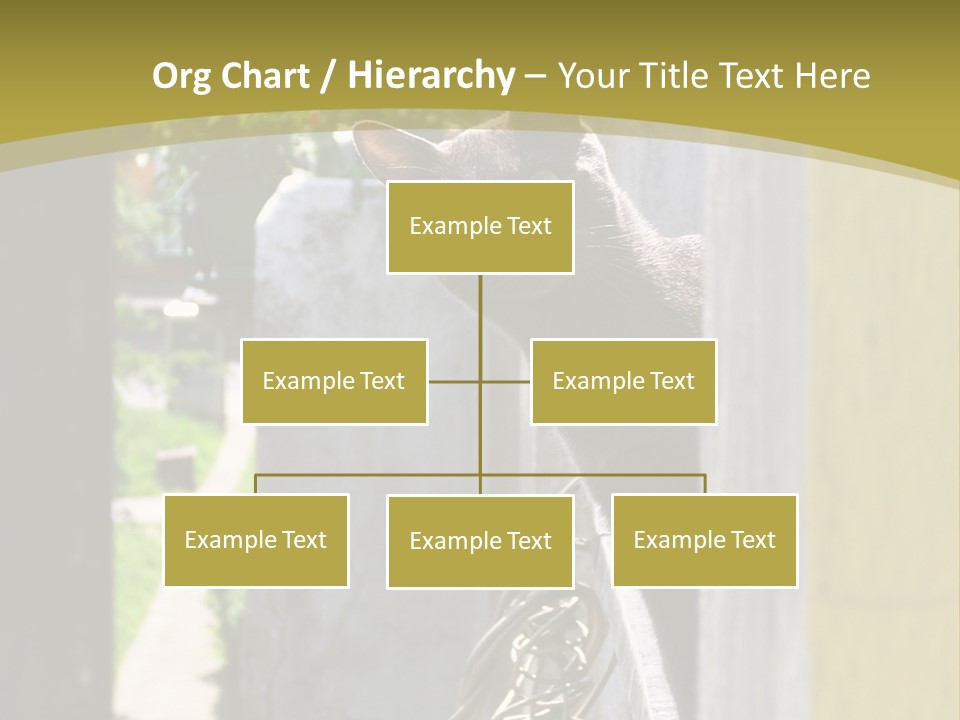 House Floral Cat PowerPoint Template