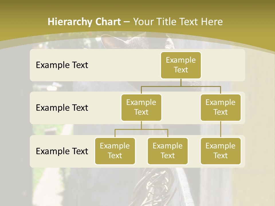 House Floral Cat PowerPoint Template