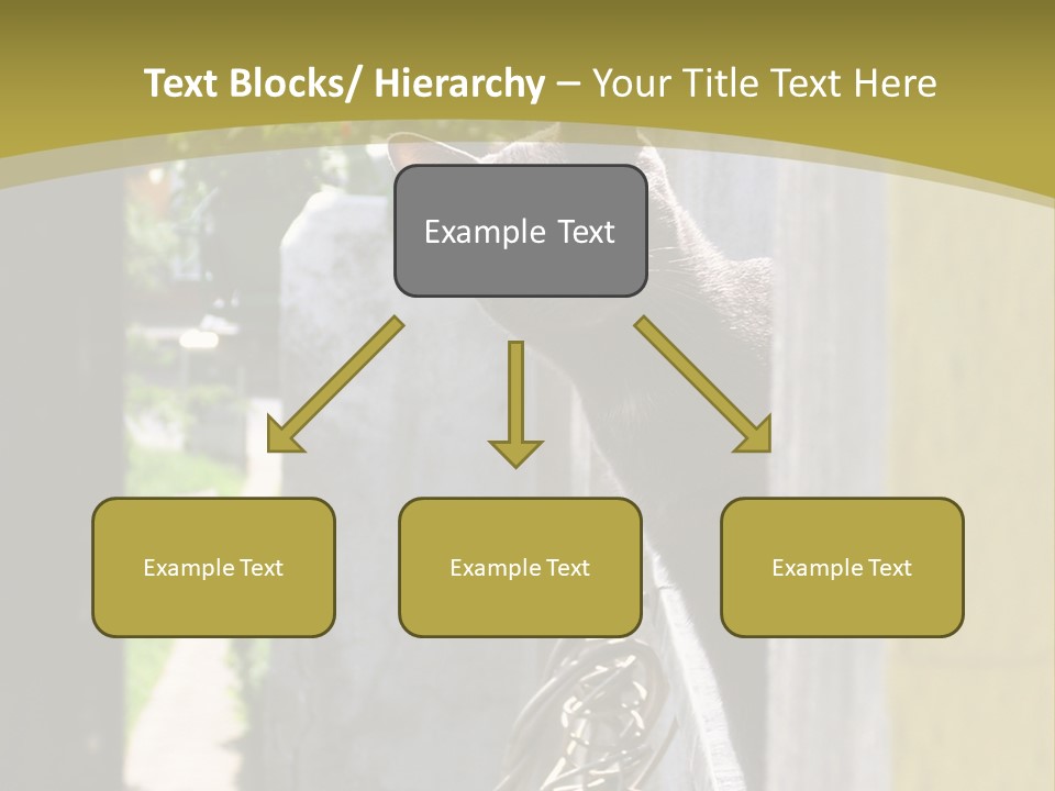 House Floral Cat PowerPoint Template