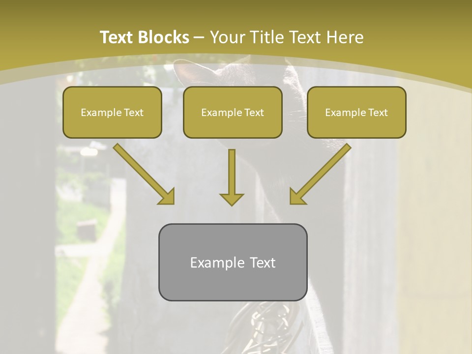 House Floral Cat PowerPoint Template