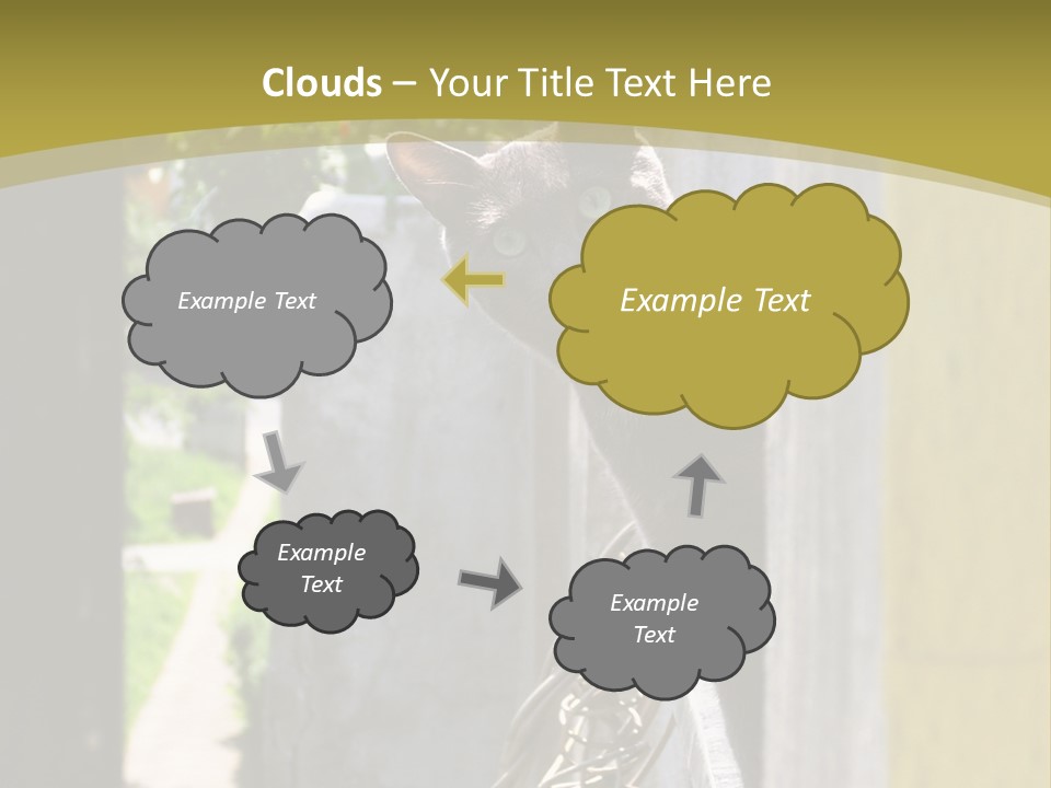 House Floral Cat PowerPoint Template