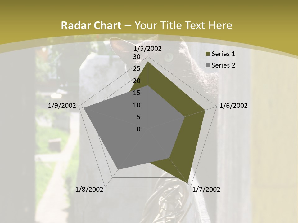 House Floral Cat PowerPoint Template