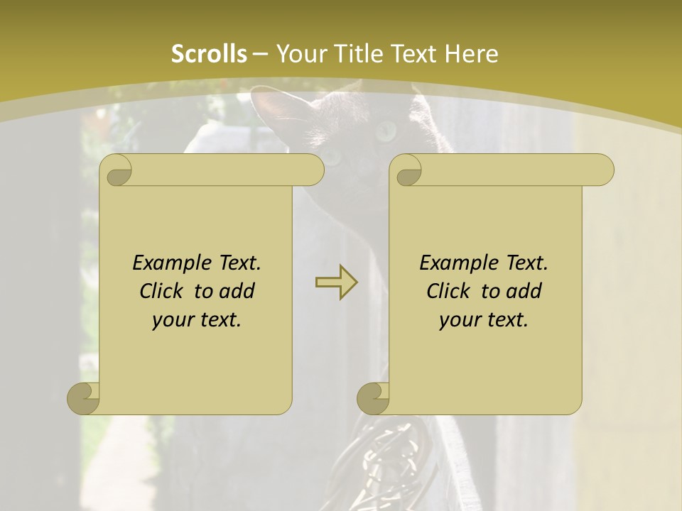 House Floral Cat PowerPoint Template