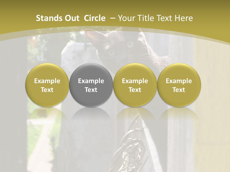 House Floral Cat PowerPoint Template