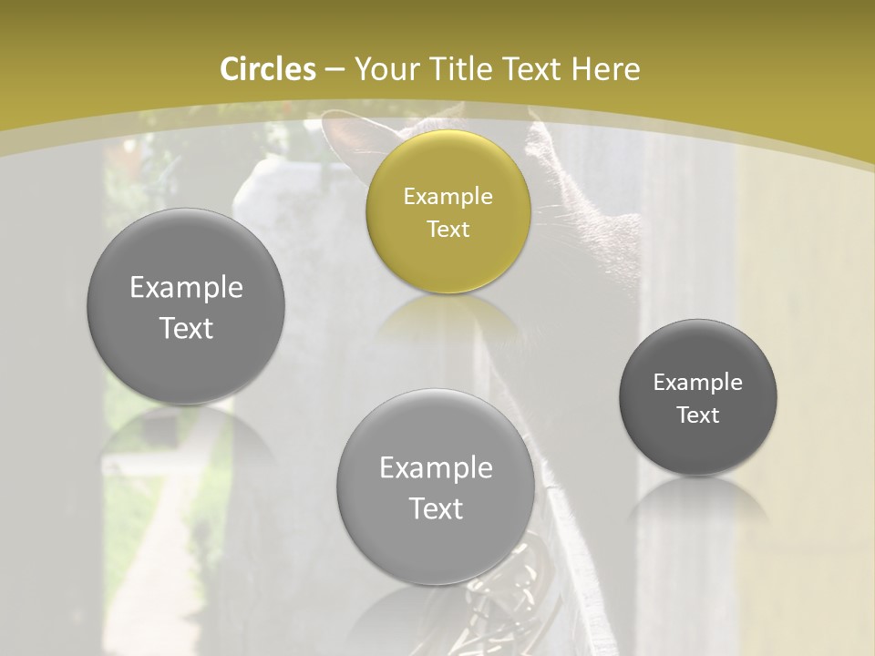 House Floral Cat PowerPoint Template