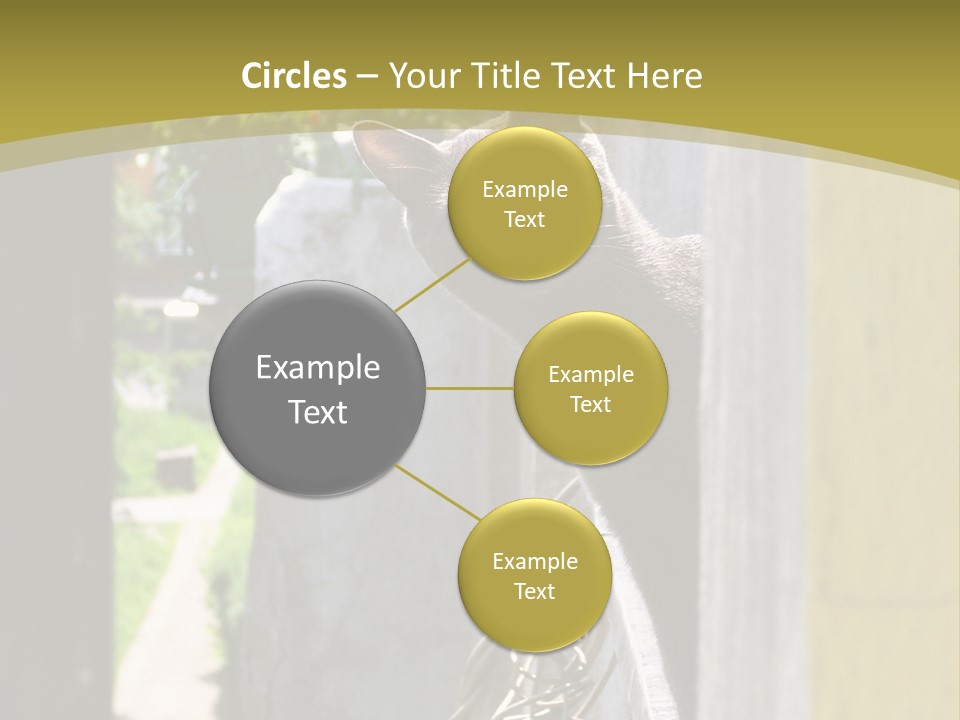 House Floral Cat PowerPoint Template