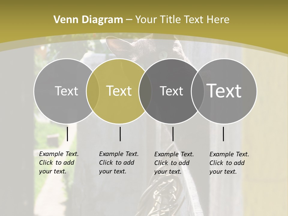 House Floral Cat PowerPoint Template