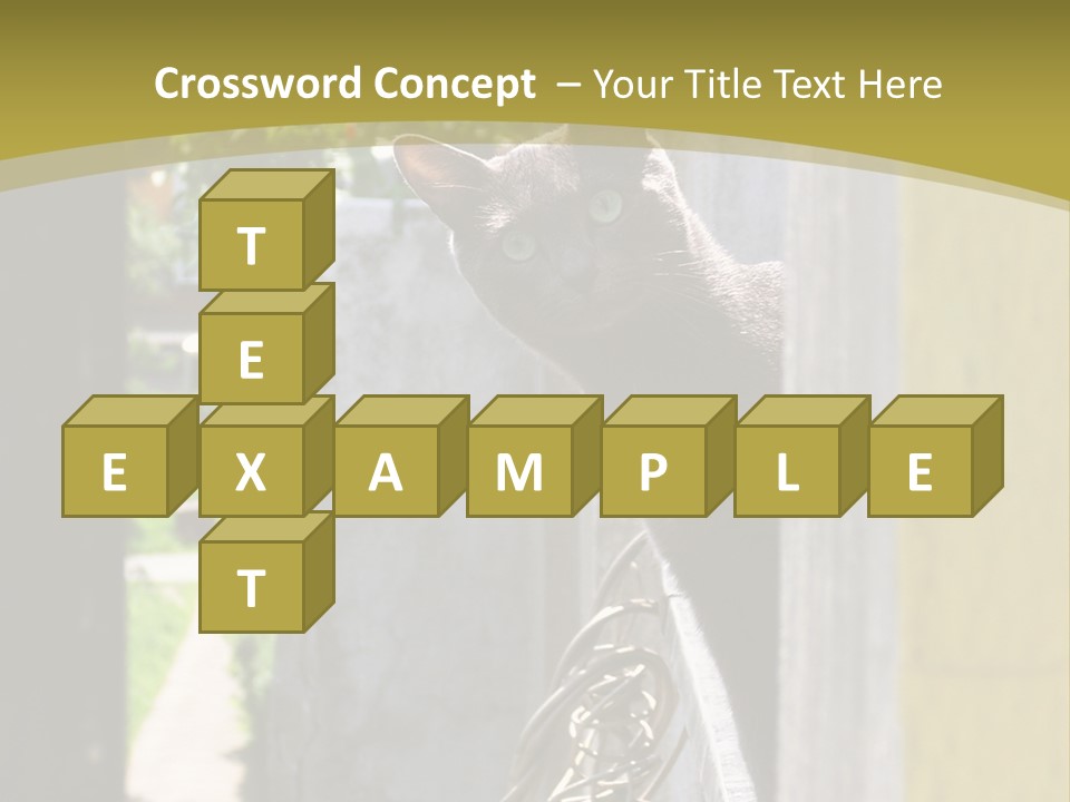 House Floral Cat PowerPoint Template