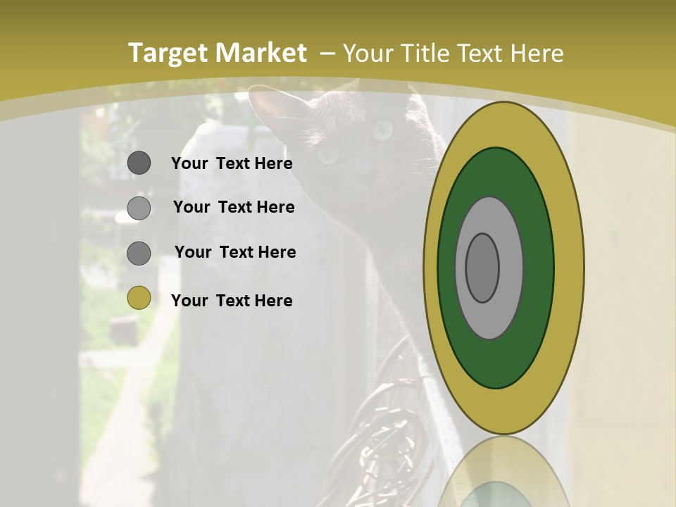 House Floral Cat PowerPoint Template