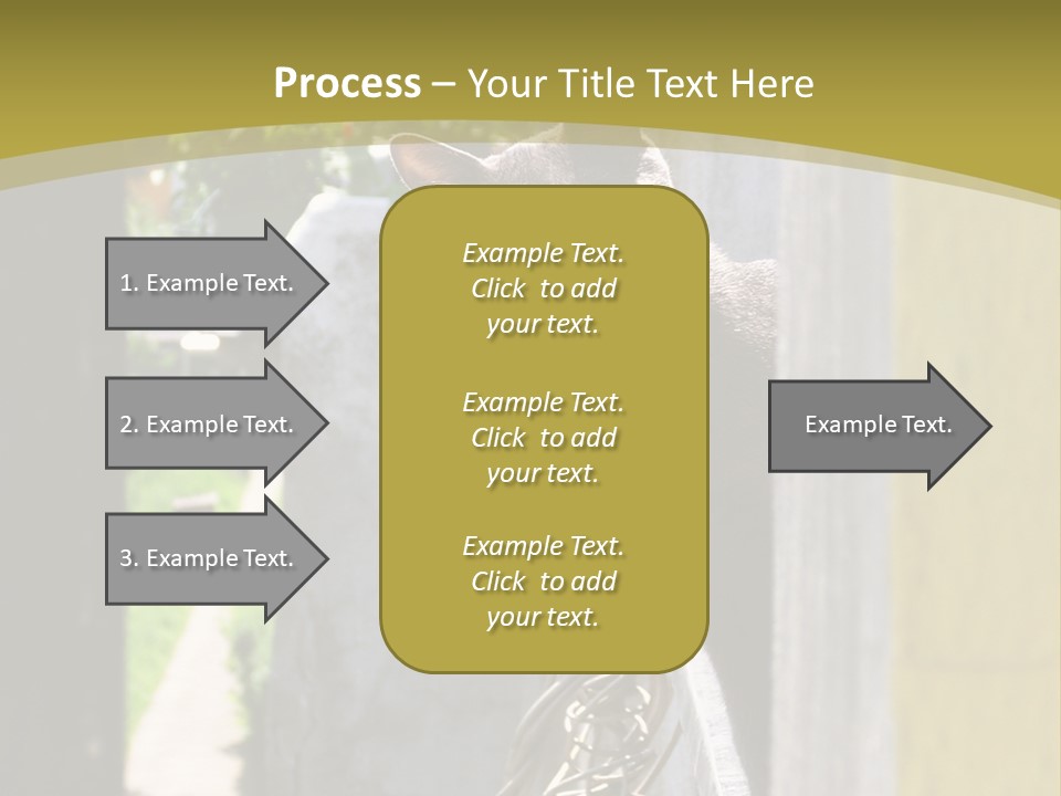 House Floral Cat PowerPoint Template