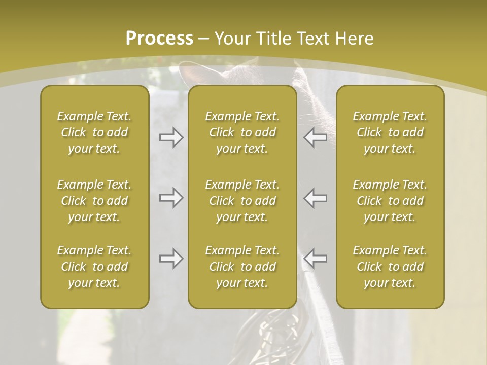 House Floral Cat PowerPoint Template