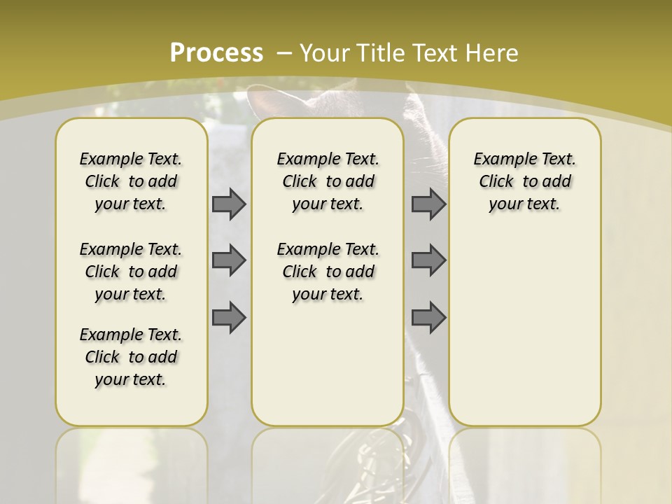 House Floral Cat PowerPoint Template