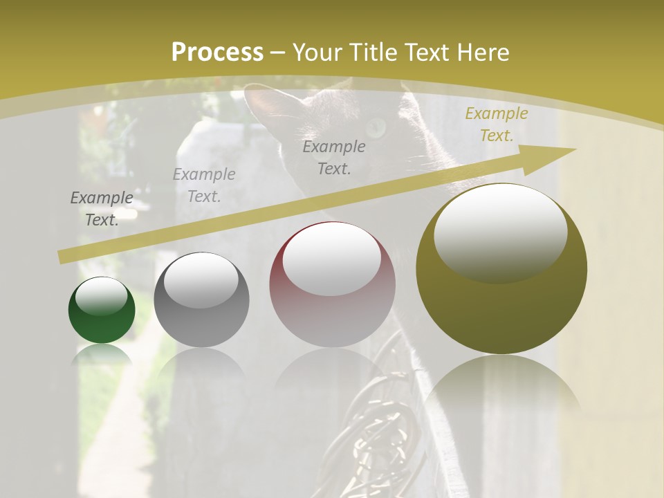 House Floral Cat PowerPoint Template