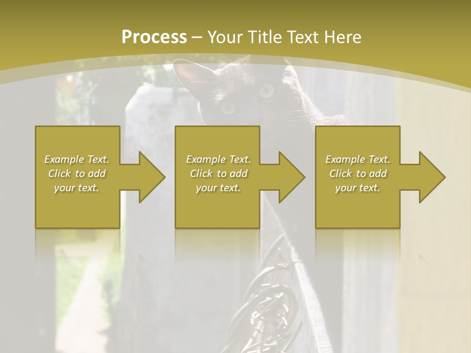 House Floral Cat PowerPoint Template