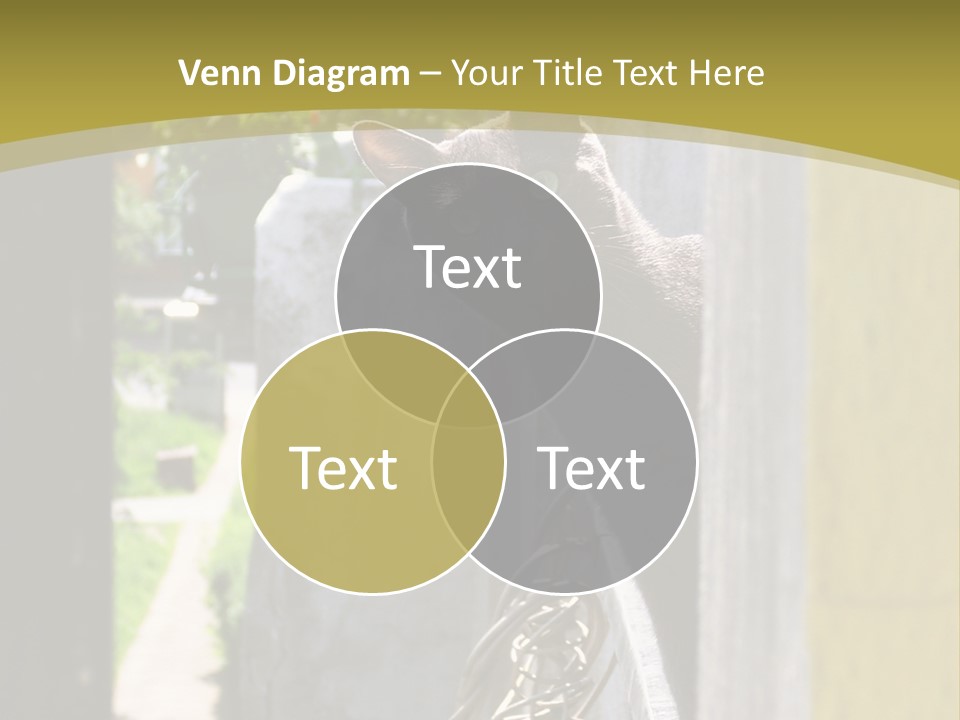 House Floral Cat PowerPoint Template