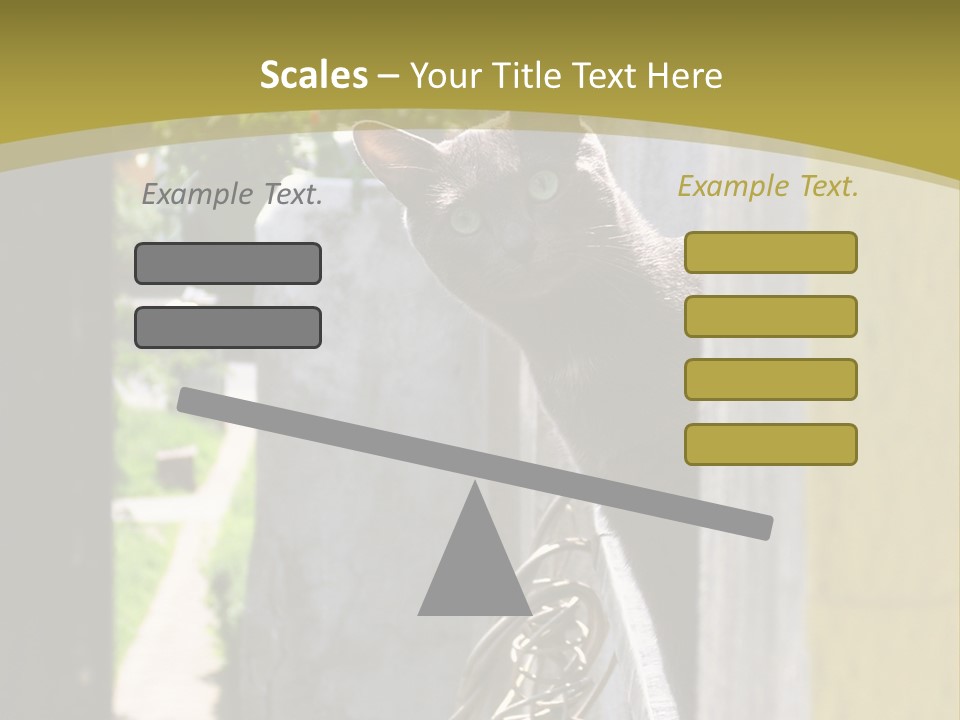 House Floral Cat PowerPoint Template