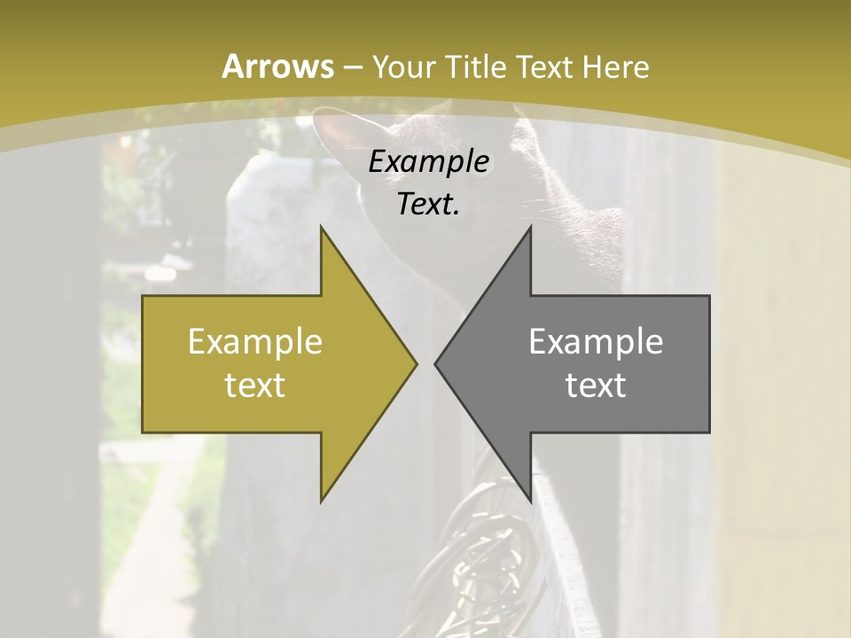 House Floral Cat PowerPoint Template