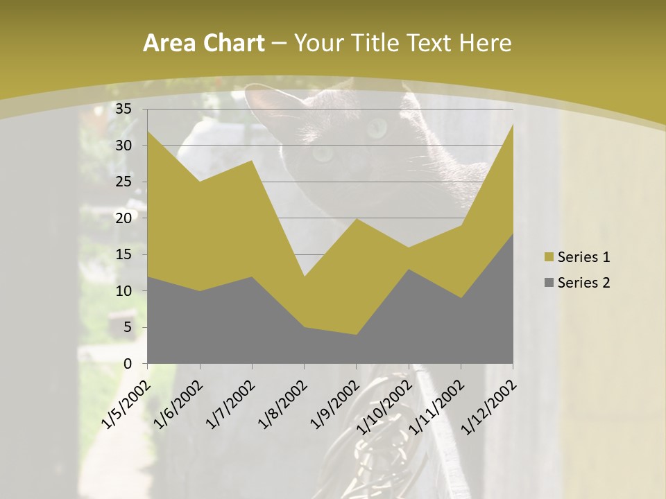 House Floral Cat PowerPoint Template