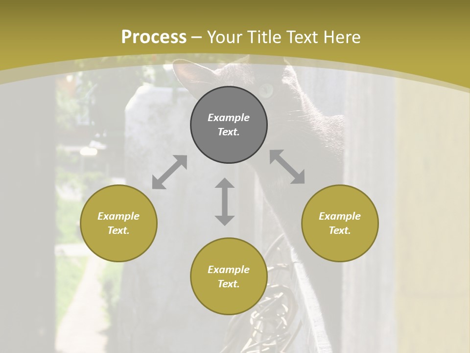 House Floral Cat PowerPoint Template