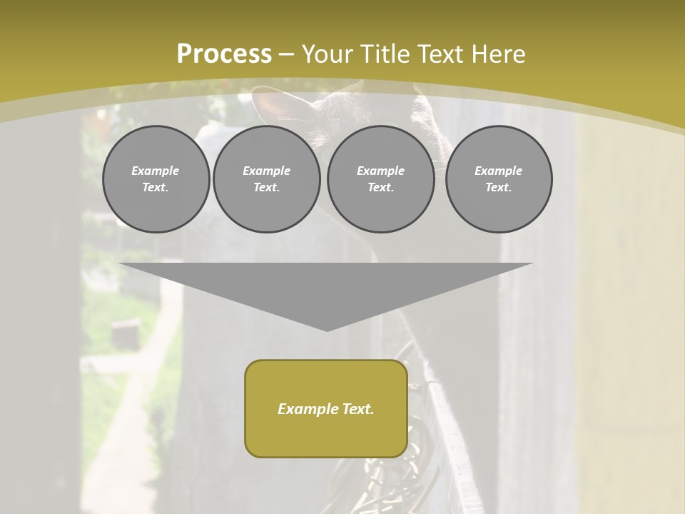 House Floral Cat PowerPoint Template