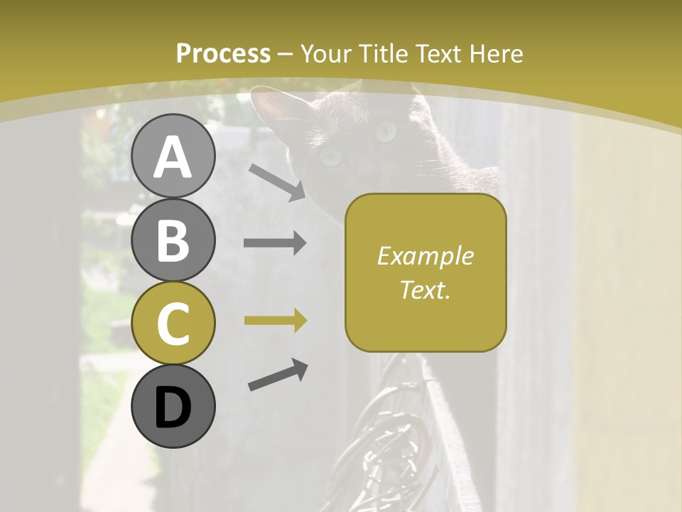 House Floral Cat PowerPoint Template