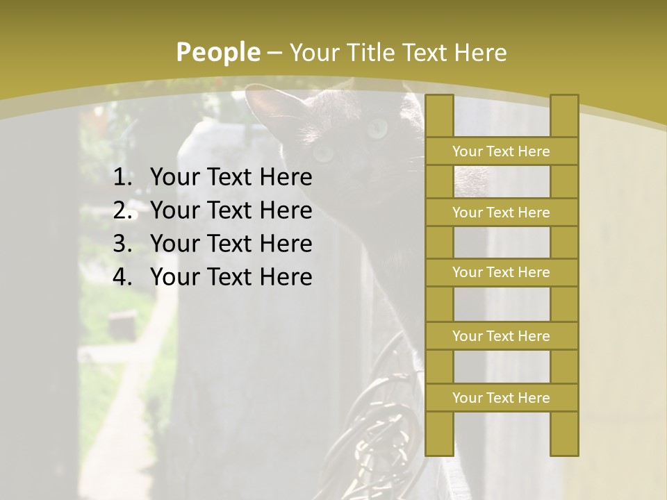 House Floral Cat PowerPoint Template