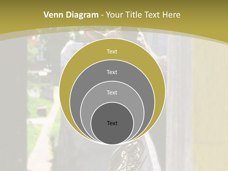 House Floral Cat PowerPoint Template