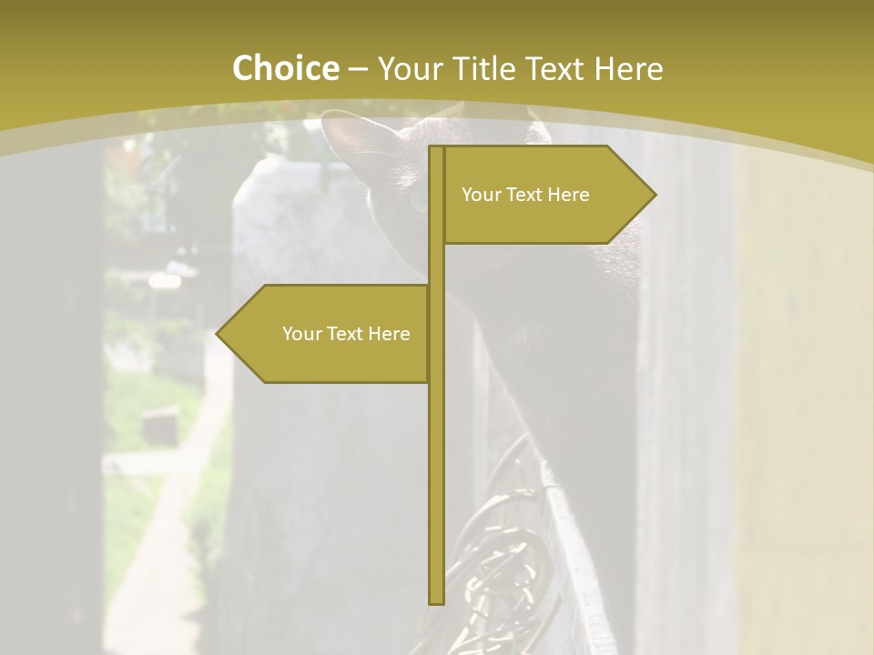 House Floral Cat PowerPoint Template