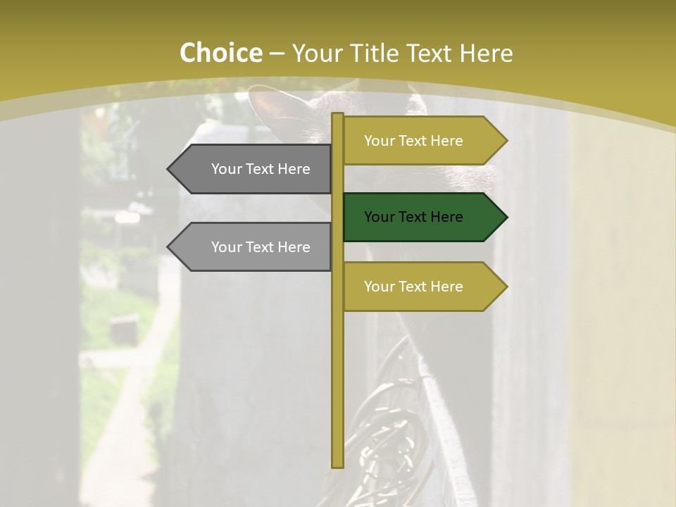 House Floral Cat PowerPoint Template