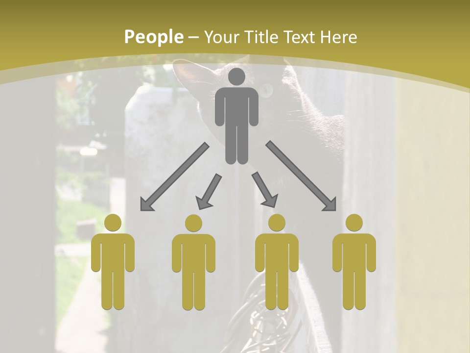 House Floral Cat PowerPoint Template