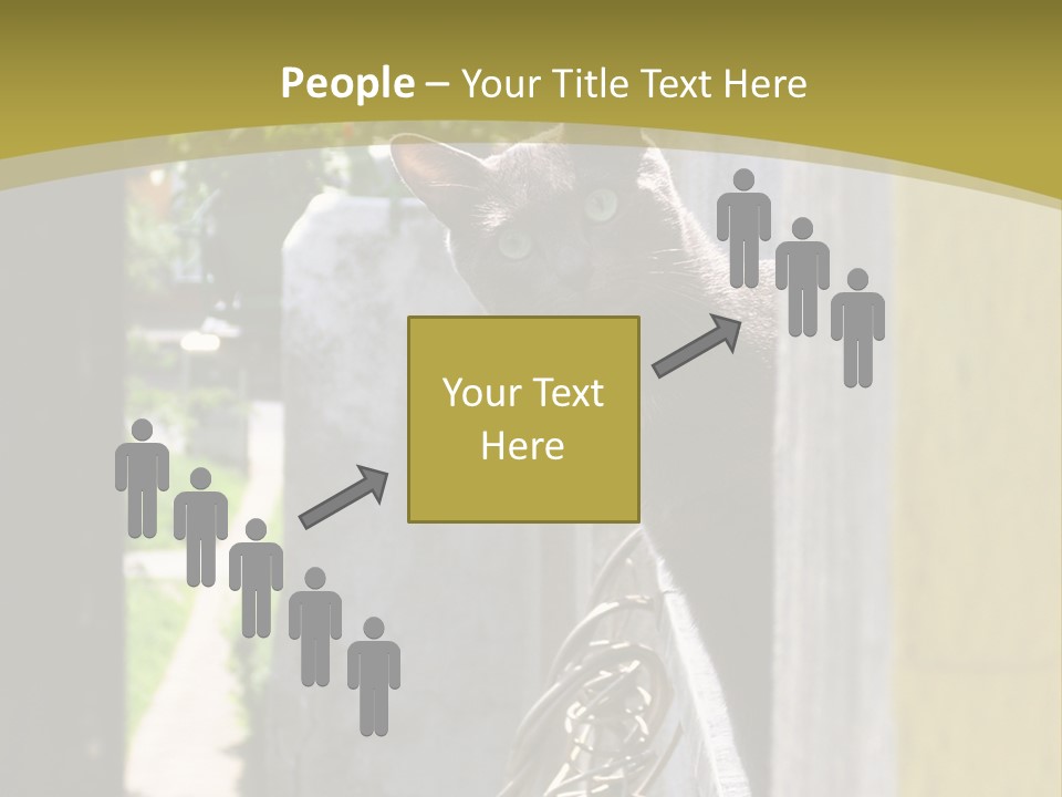 House Floral Cat PowerPoint Template