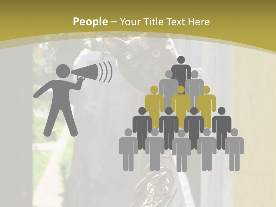 House Floral Cat PowerPoint Template