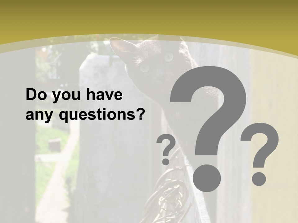 House Floral Cat PowerPoint Template