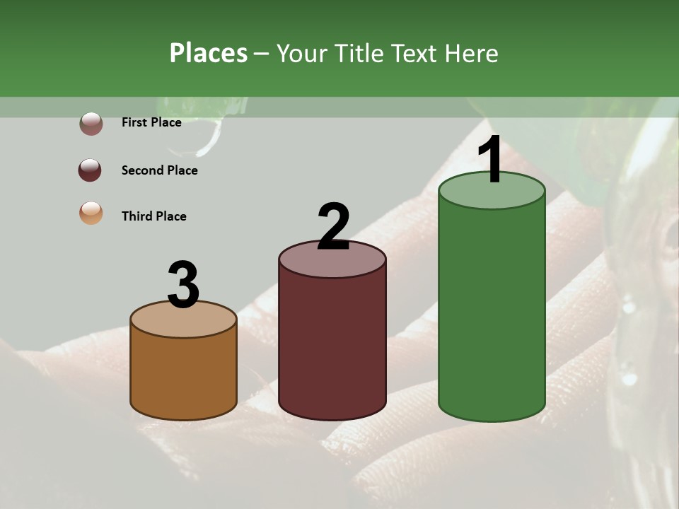 Auto Pull Working PowerPoint Template