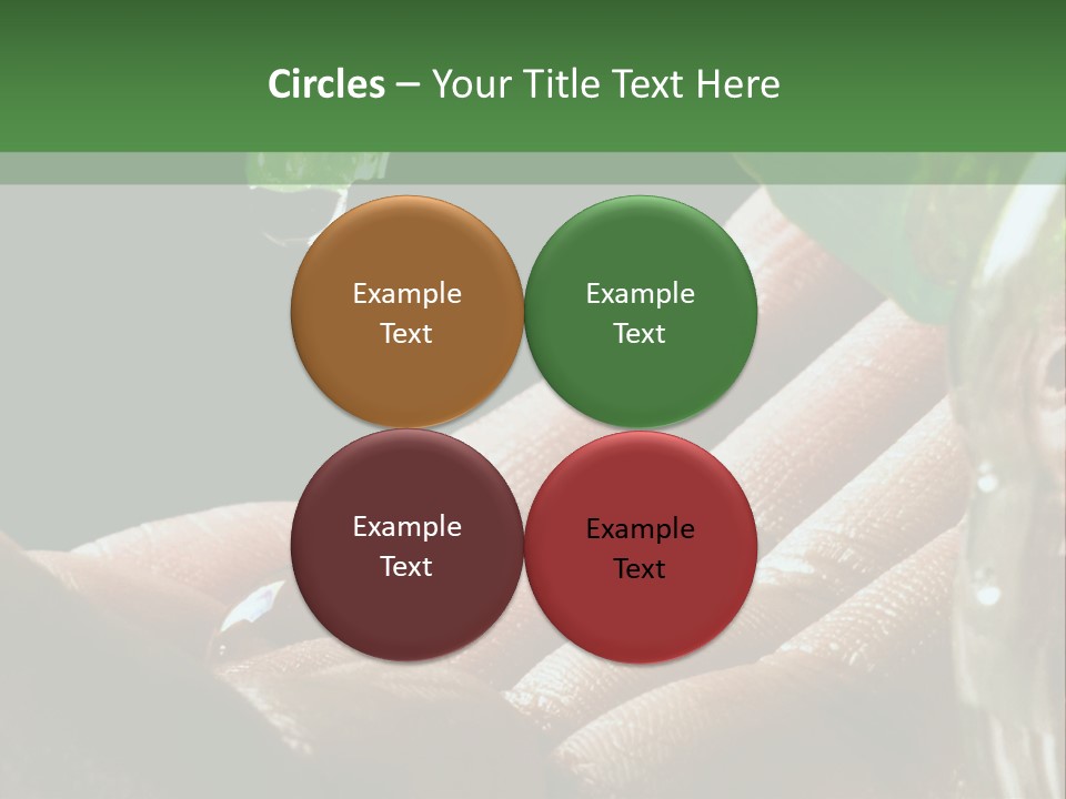 Auto Pull Working PowerPoint Template