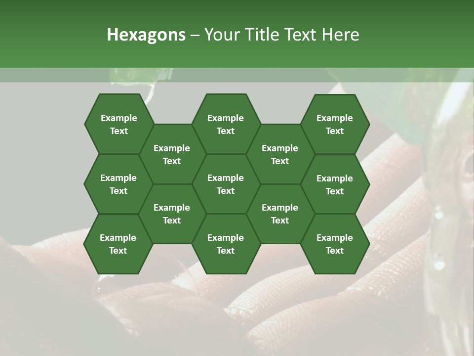 Auto Pull Working PowerPoint Template