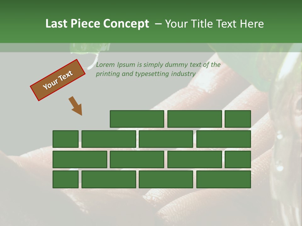 Auto Pull Working PowerPoint Template
